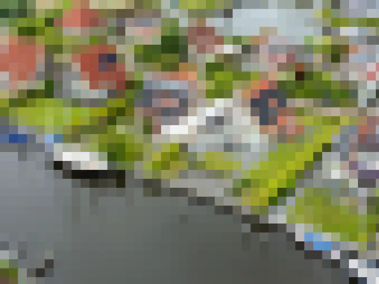 Swanneblom 8 Koudum thumbnail 51