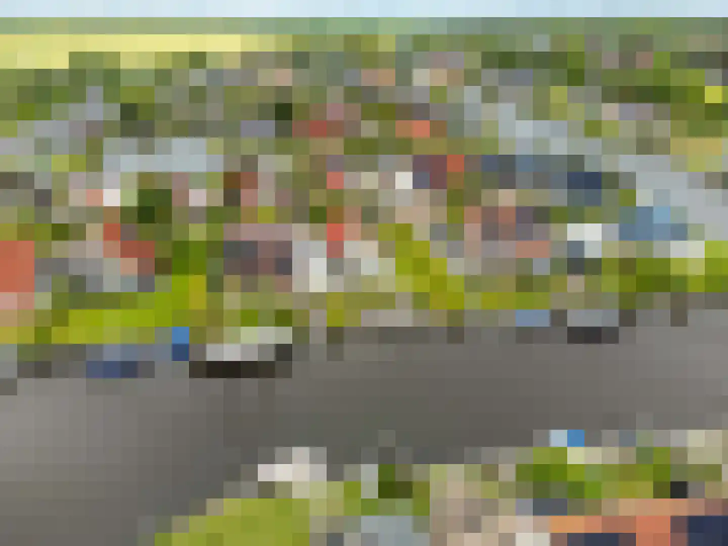 Swanneblom 8 Koudum thumbnail 52