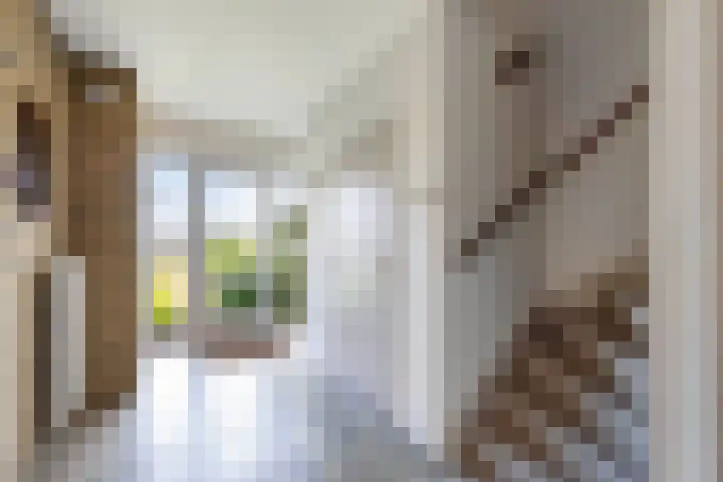 Swannedrift 38 Mantgum thumbnail 18