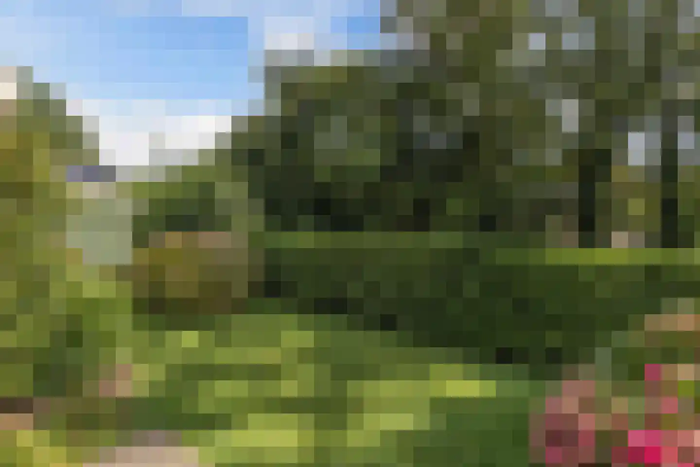 Swannedrift 38 Mantgum thumbnail 33
