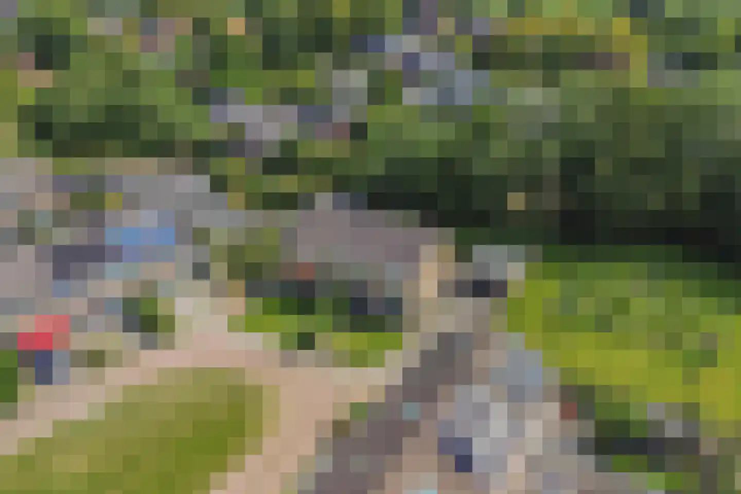 Swannedrift 38 Mantgum thumbnail 40
