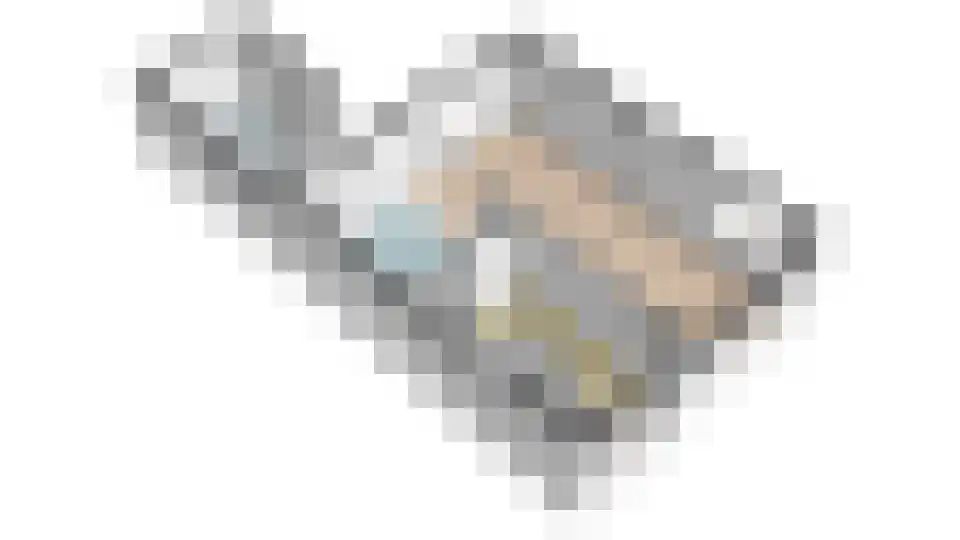 Swannedrift 38 Mantgum thumbnail 47