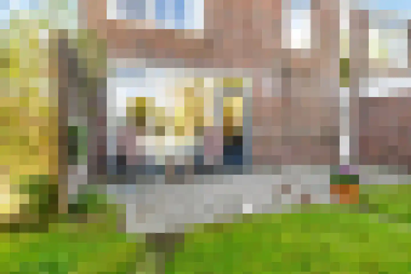 Swannedrift 5 Mantgum thumbnail 18