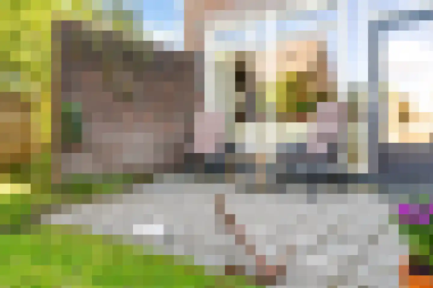 Swannedrift 5 Mantgum thumbnail 19