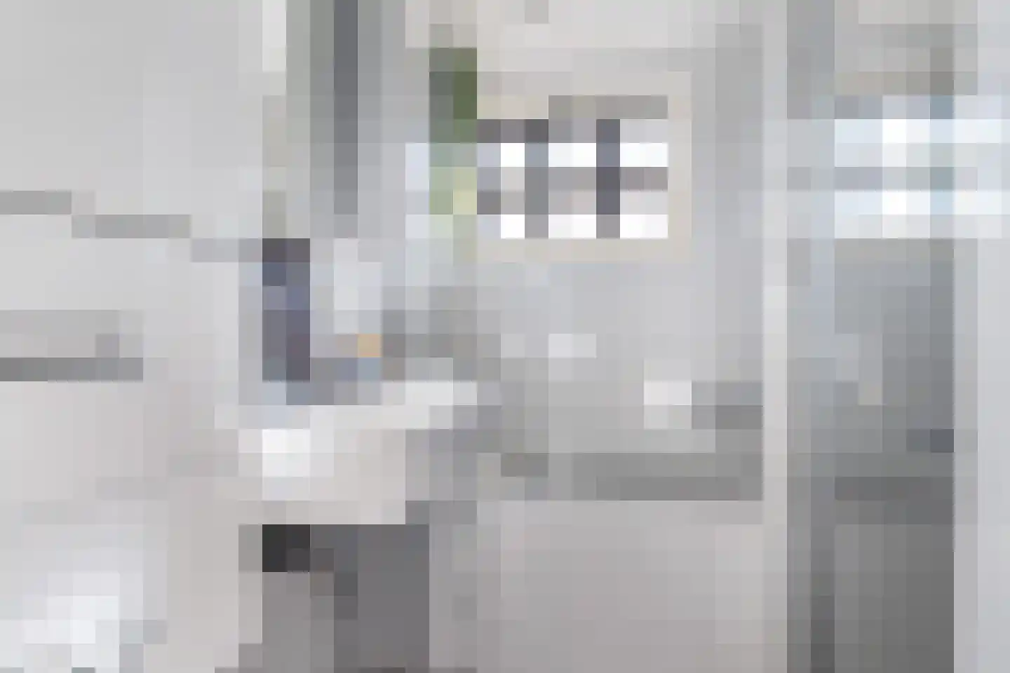 Swannedrift 5 Mantgum thumbnail 26