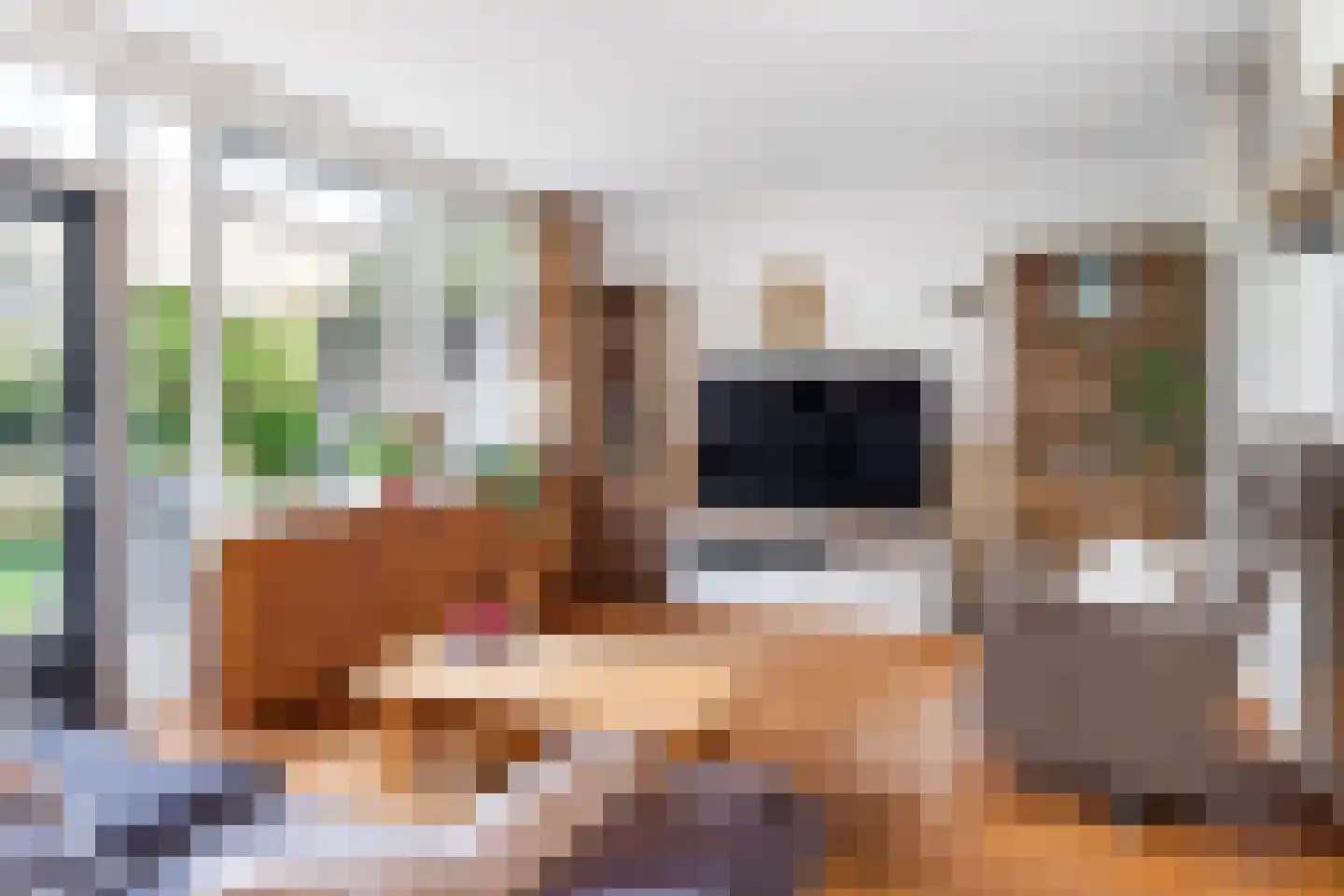 Swannedrift 5 Mantgum thumbnail 4