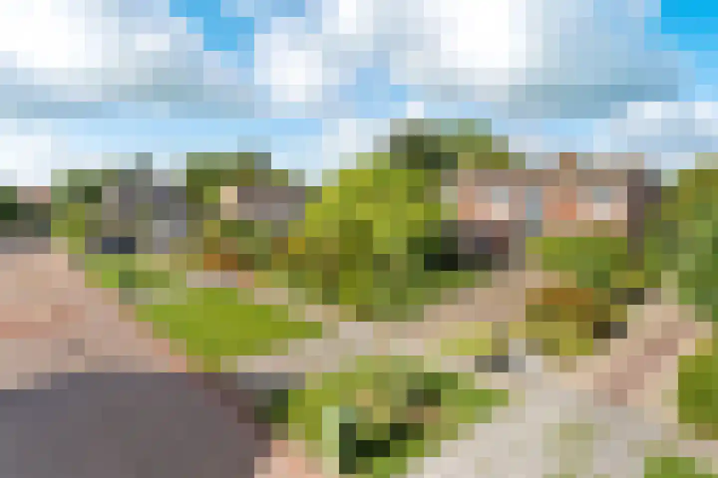 Swannedrift 5 Mantgum thumbnail 9