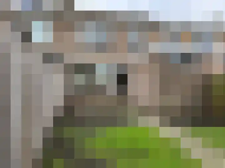 Swannestrjitte 6 Langweer thumbnail 10
