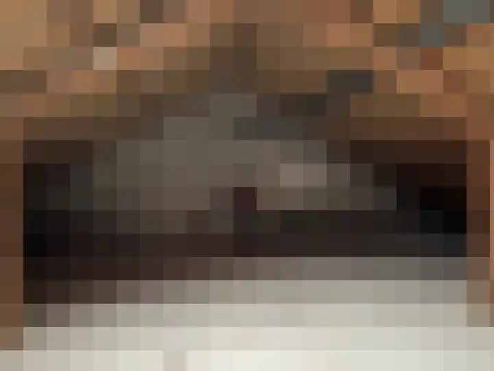 Swannestrjitte 6 Langweer thumbnail 19