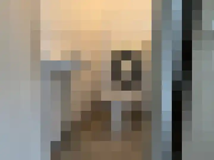 Swannestrjitte 6 Langweer thumbnail 6