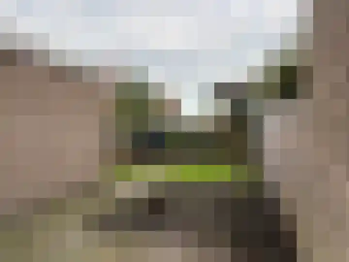 Swannestrjitte 6 Langweer thumbnail 9