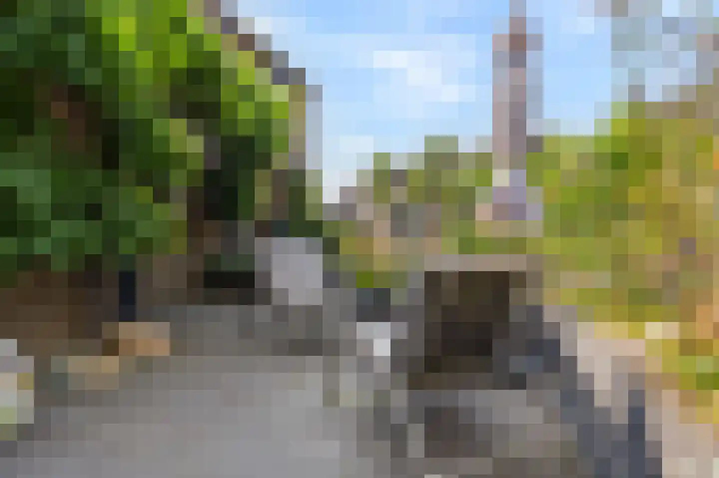 Swarte Dreef 35 Westervoort thumbnail 12