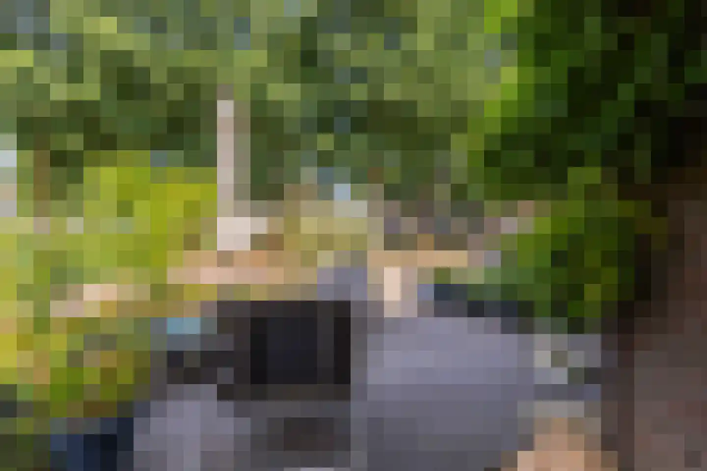 Swarte Dreef 35 Westervoort thumbnail 13