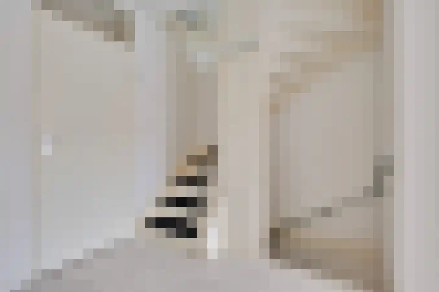 Swarte Dreef 35 Westervoort thumbnail 25