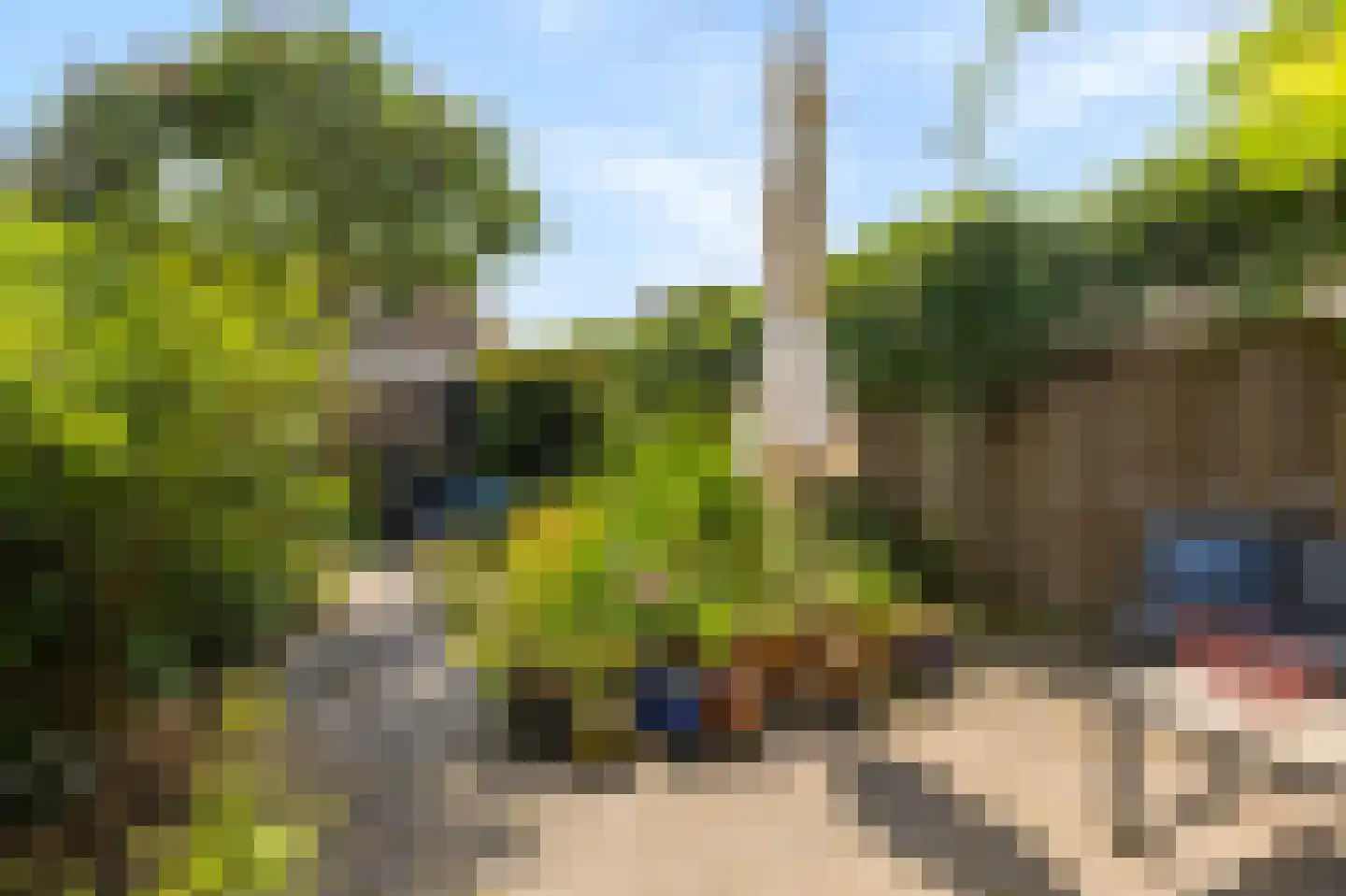 Swarte Dreef 35 Westervoort thumbnail 36