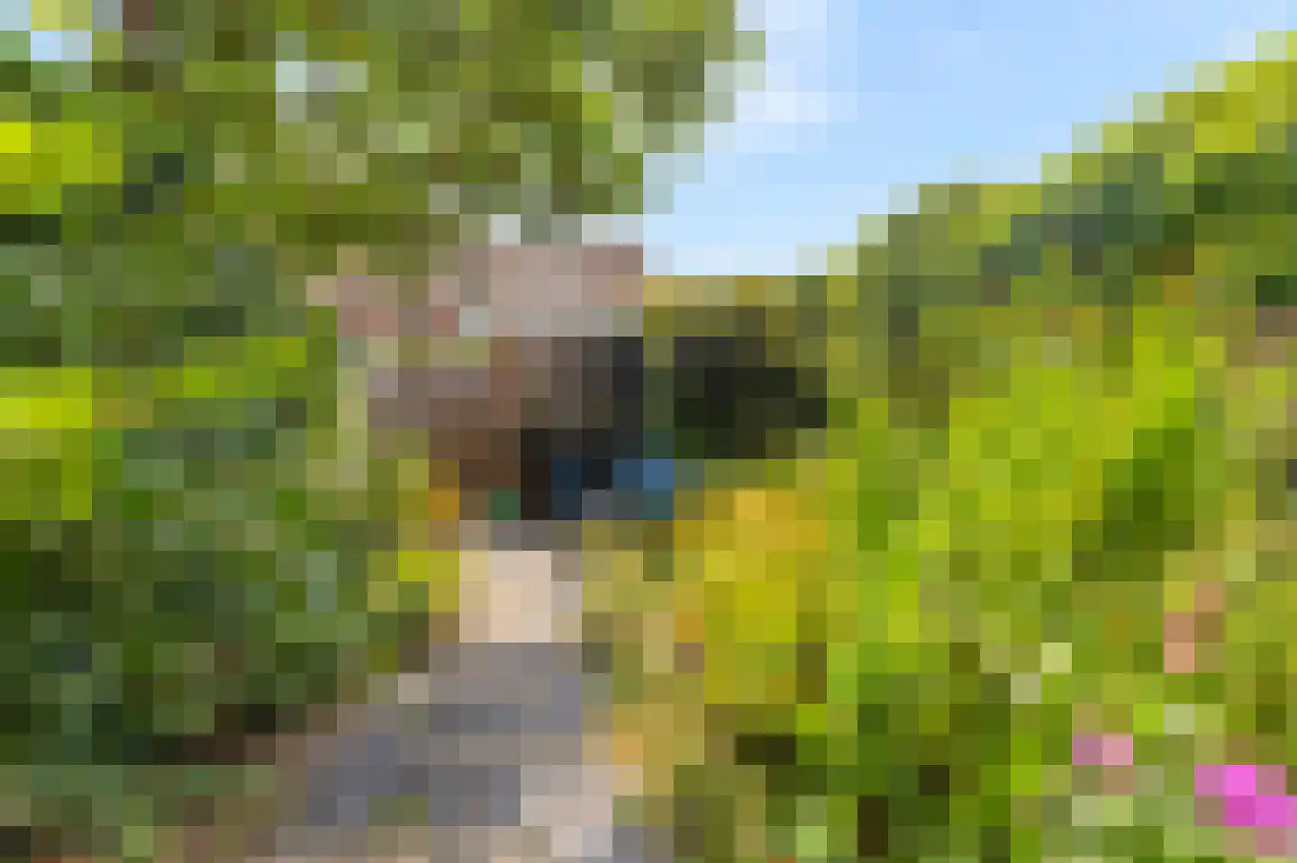 Swarte Dreef 35 Westervoort thumbnail 37