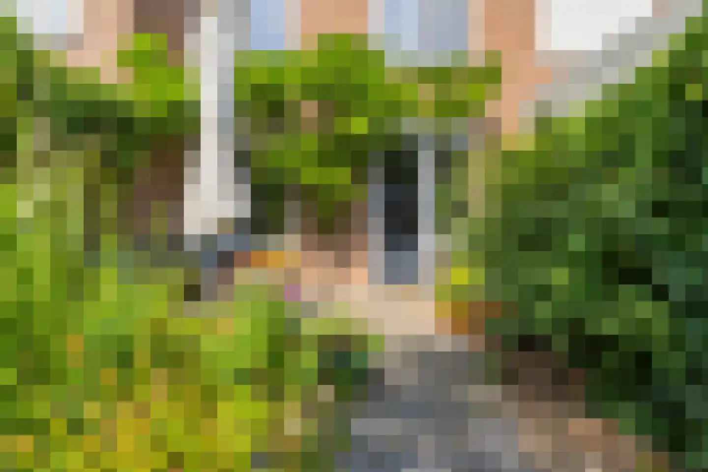Swarte Dreef 35 Westervoort thumbnail 43