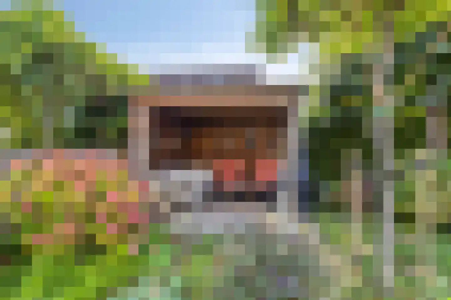 Swarte Dreef 37 Westervoort thumbnail 27