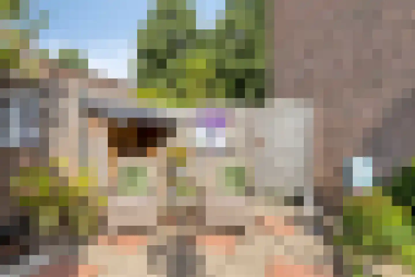 Swarte Dreef 37 Westervoort thumbnail 29