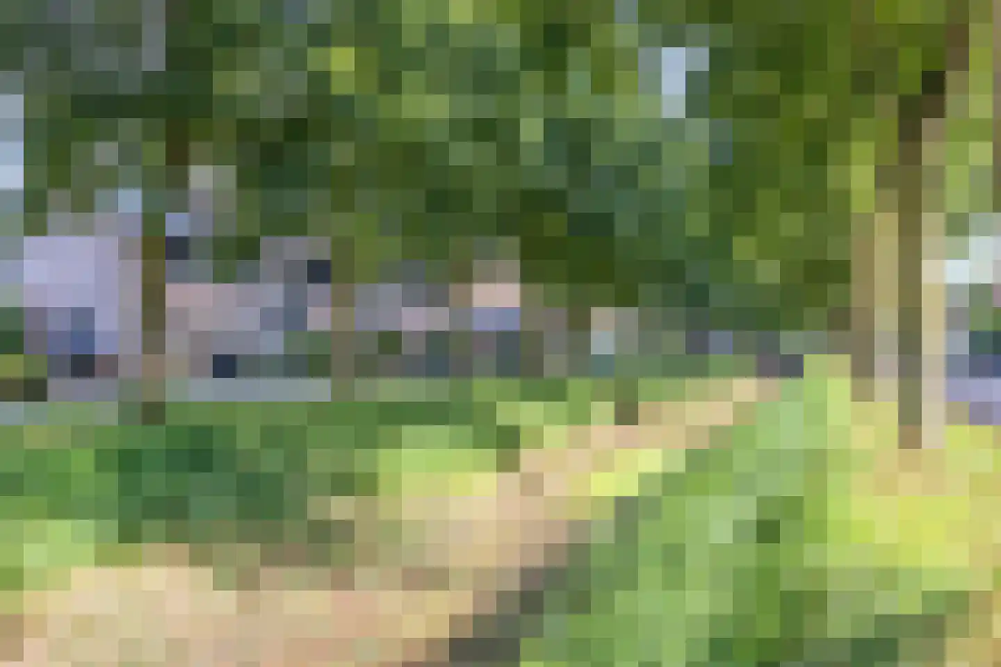 Swarte Dreef 37 Westervoort thumbnail 31
