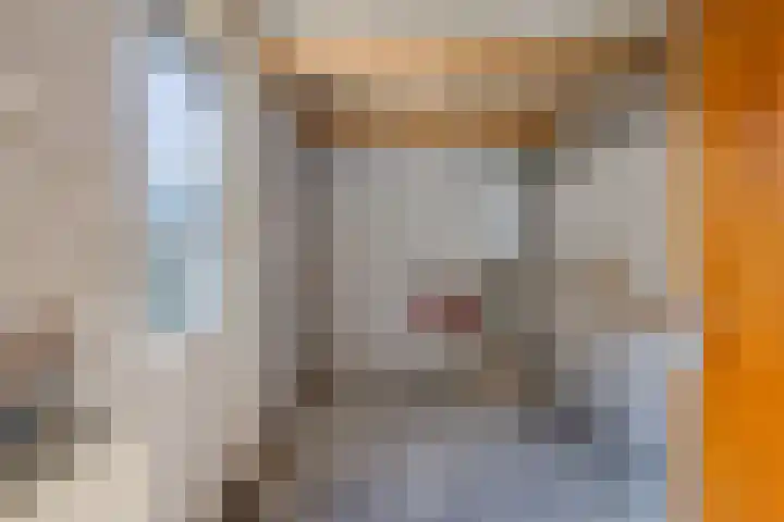 Swarte Wyk 13 Drachtstercompagnie thumbnail 12