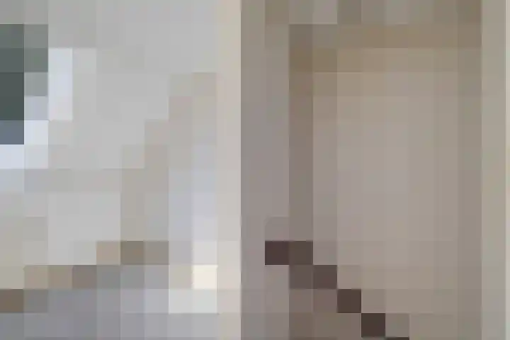 Swarte Wyk 13 Drachtstercompagnie thumbnail 13