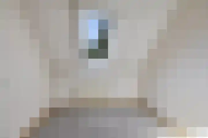 Swarte Wyk 13 Drachtstercompagnie thumbnail 15