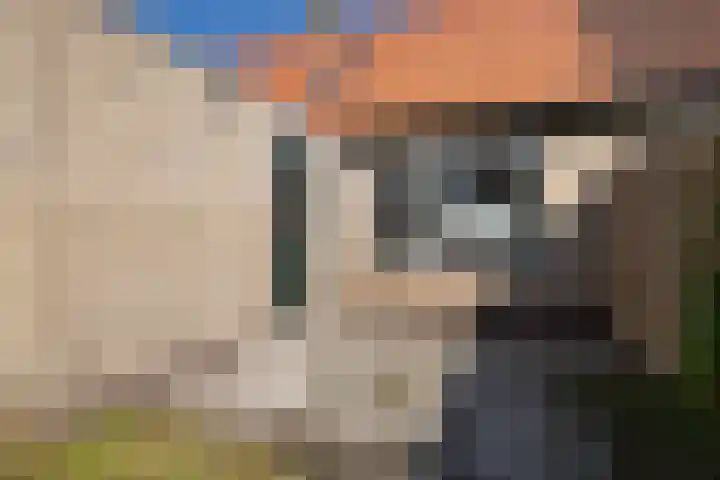 Swarte Wyk 13 Drachtstercompagnie thumbnail 20