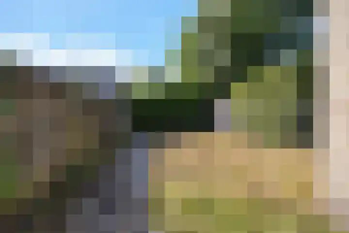 Swarte Wyk 13 Drachtstercompagnie thumbnail 21
