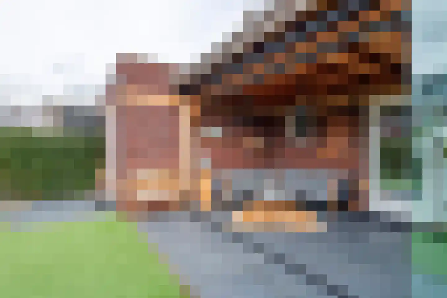 Swartjeshof 3 Meteren thumbnail 10