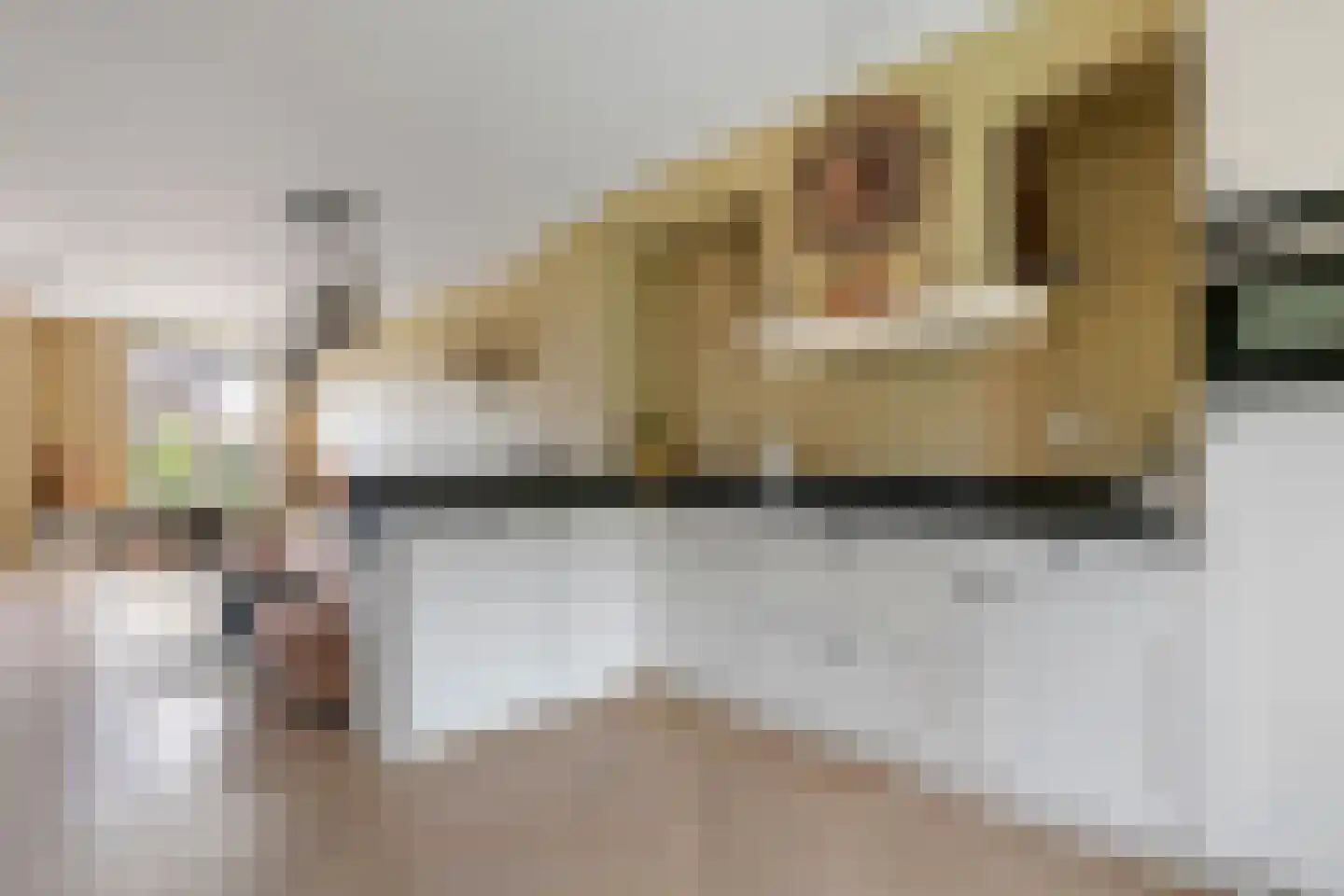 Swartjeshof 3 Meteren thumbnail 16