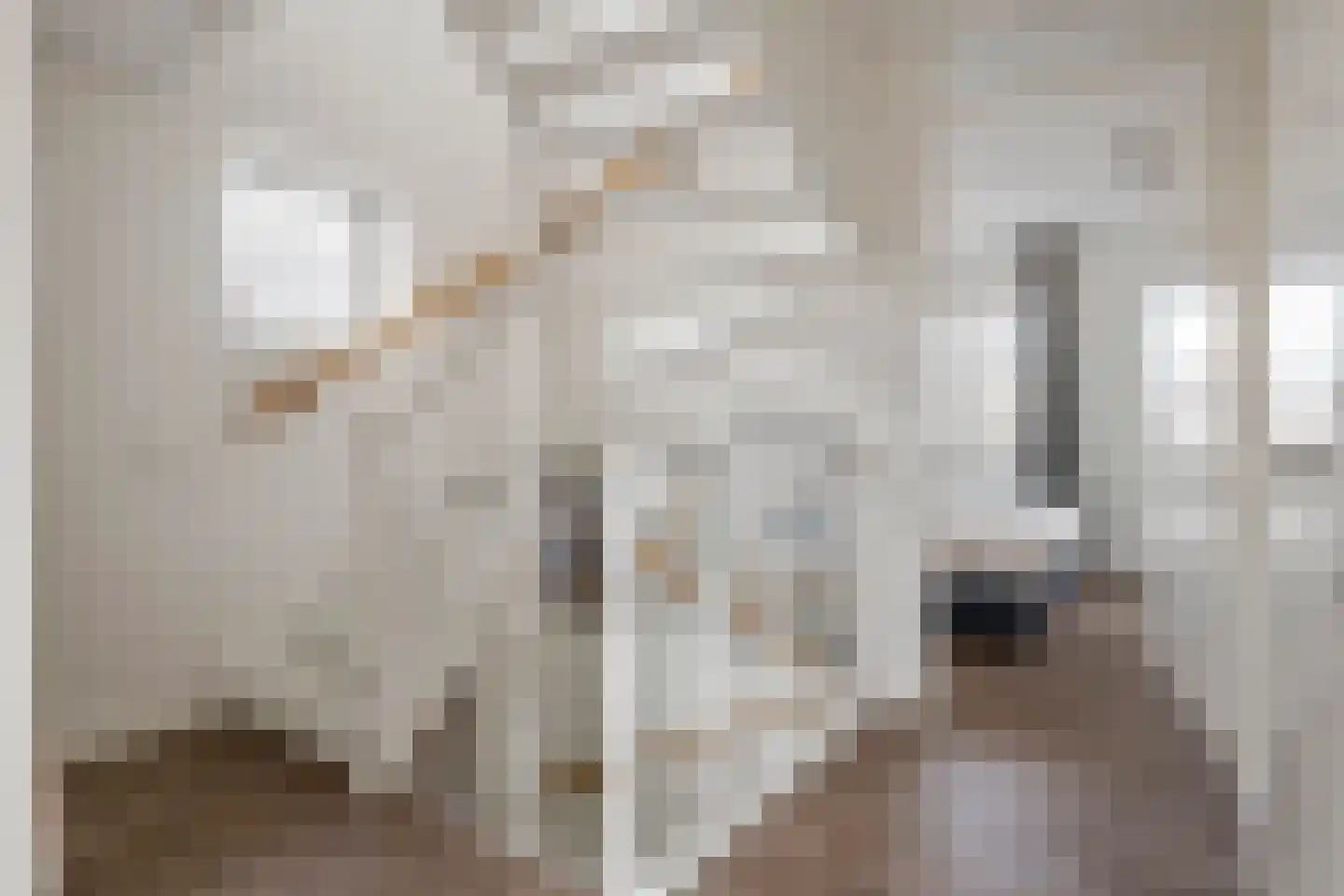 Swartjeshof 3 Meteren thumbnail 27
