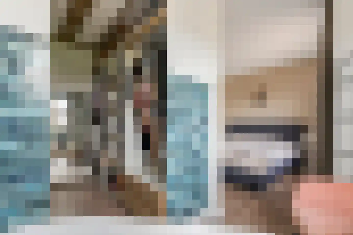 Swartjeshof 3 Meteren thumbnail 33