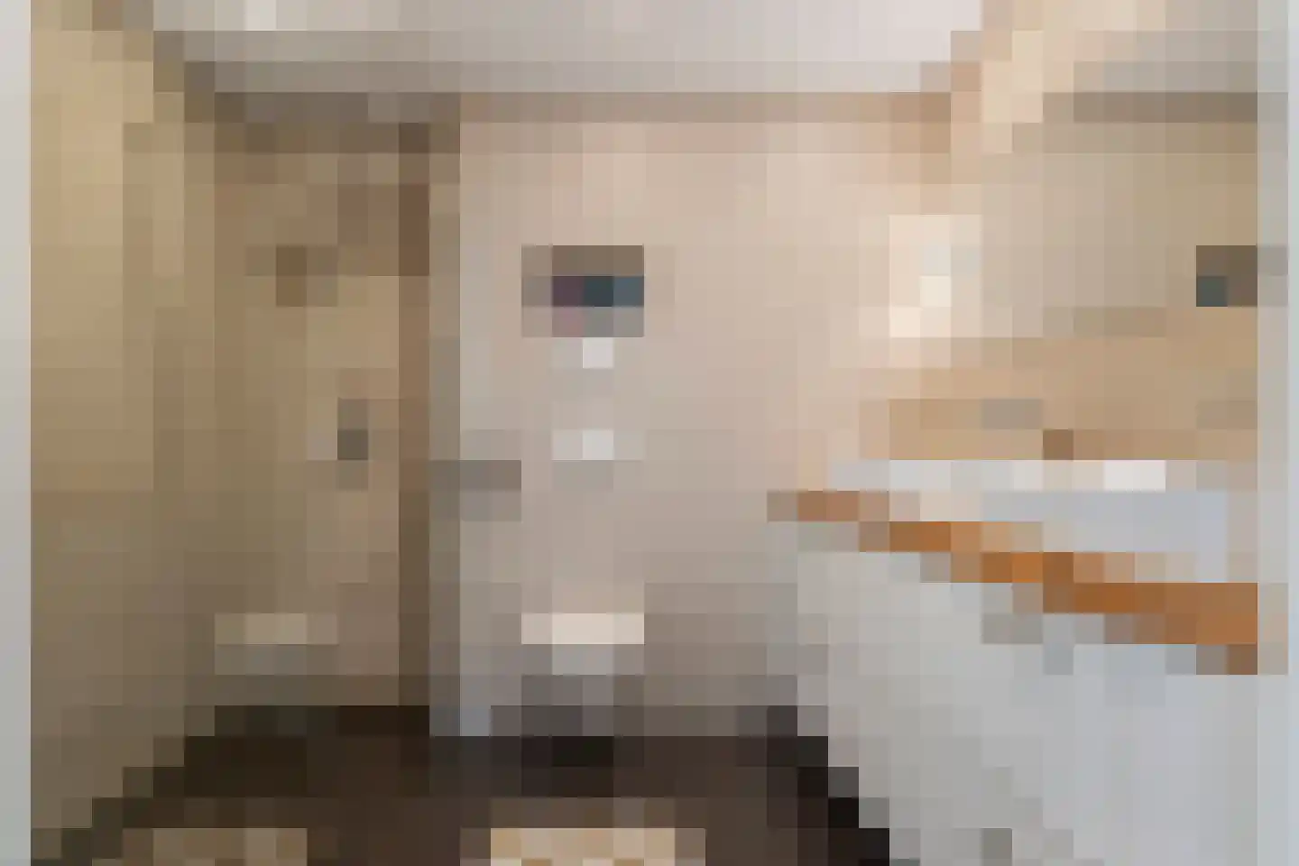 Swartjeshof 3 Meteren thumbnail 38