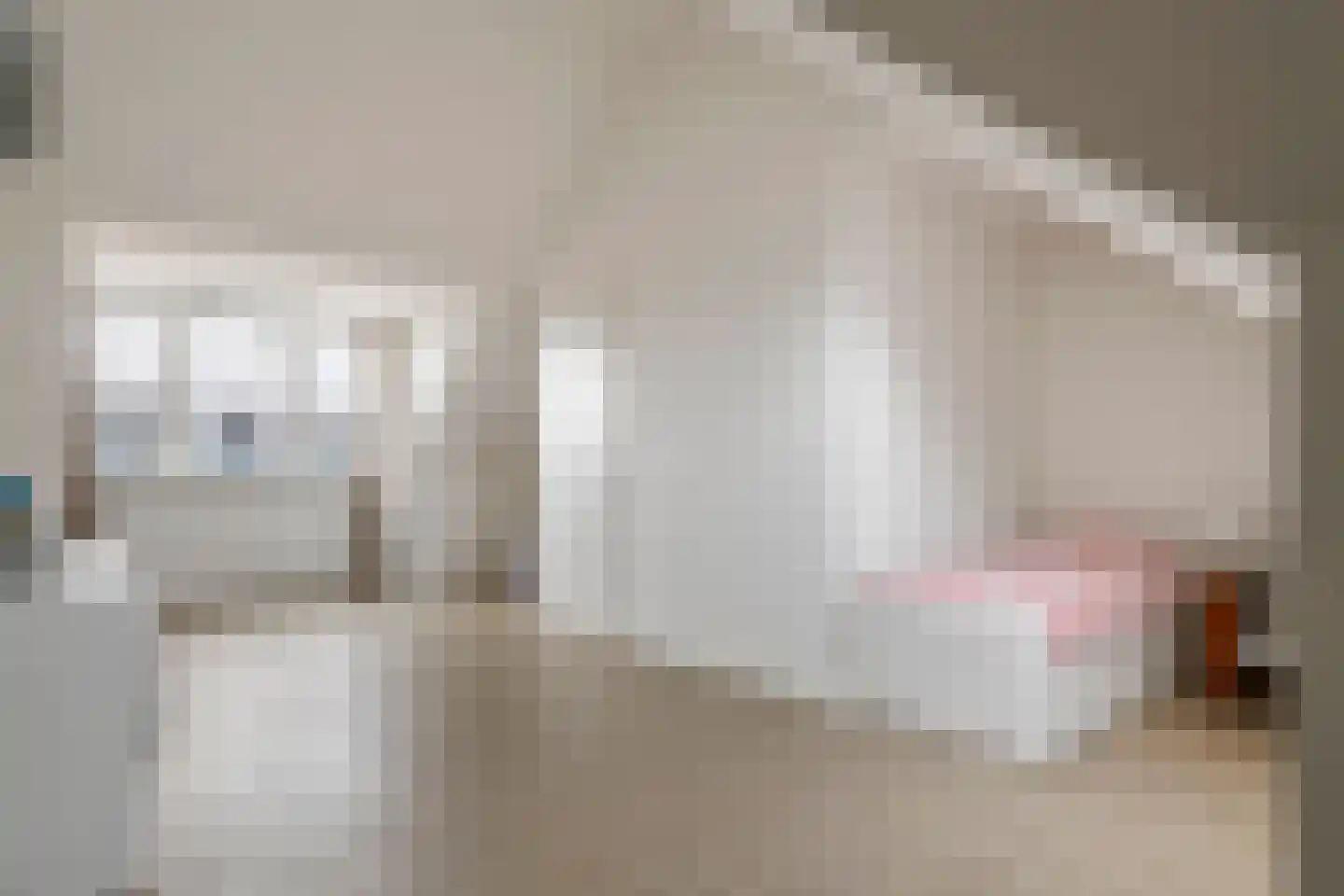 Swartjeshof 3 Meteren thumbnail 39