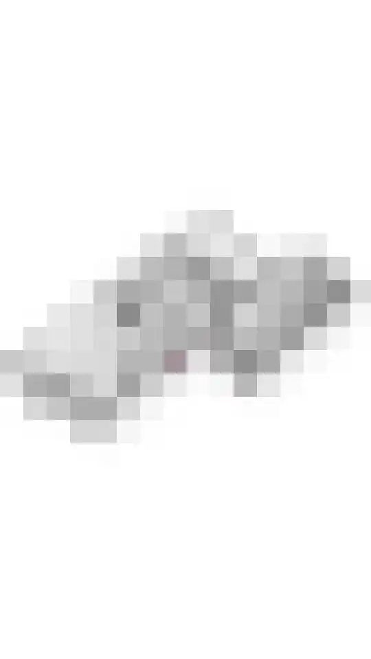 Swartjeshof 3 Meteren thumbnail 48