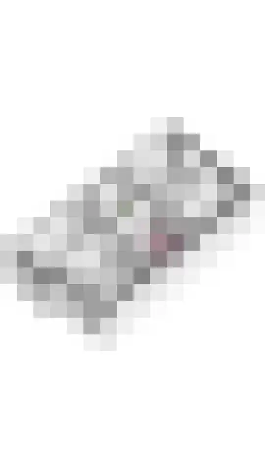 Swartjeshof 3 Meteren thumbnail 50