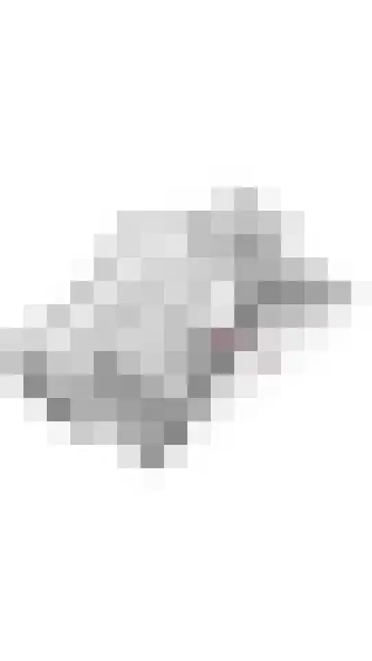 Swartjeshof 3 Meteren thumbnail 52