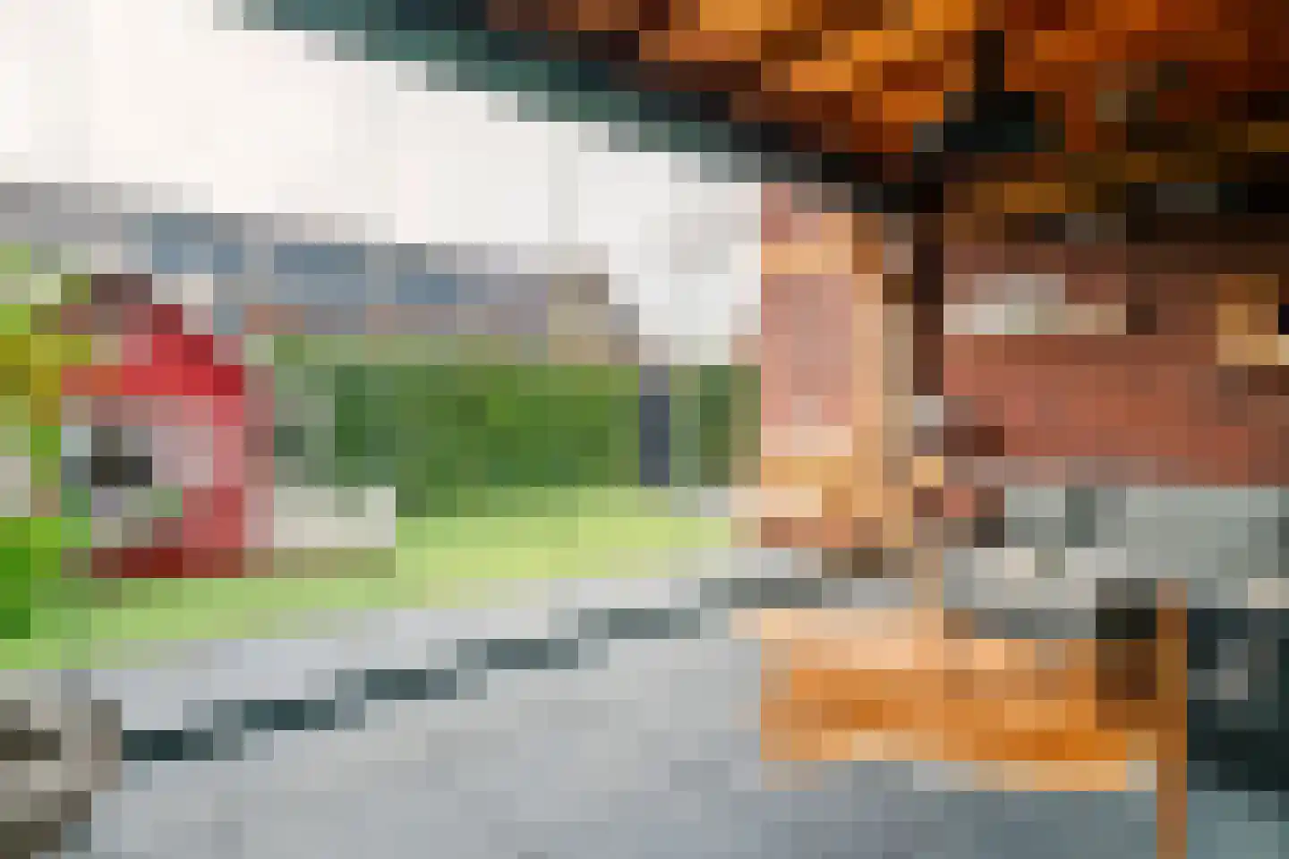 Swartjeshof 3 Meteren thumbnail 6