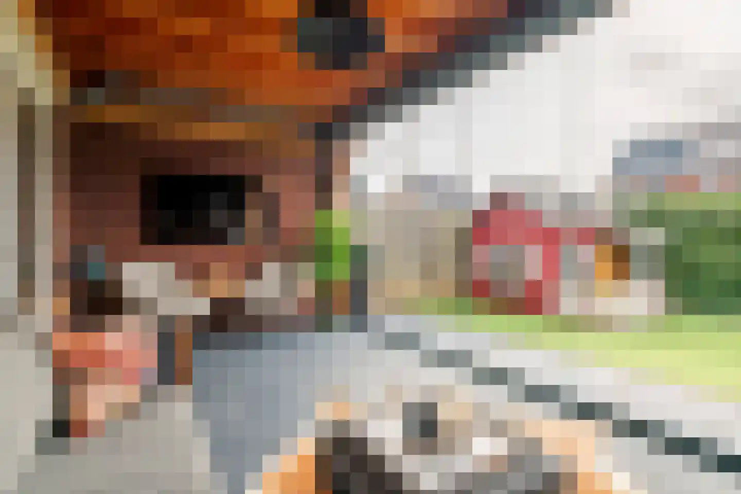 Swartjeshof 3 Meteren thumbnail 7
