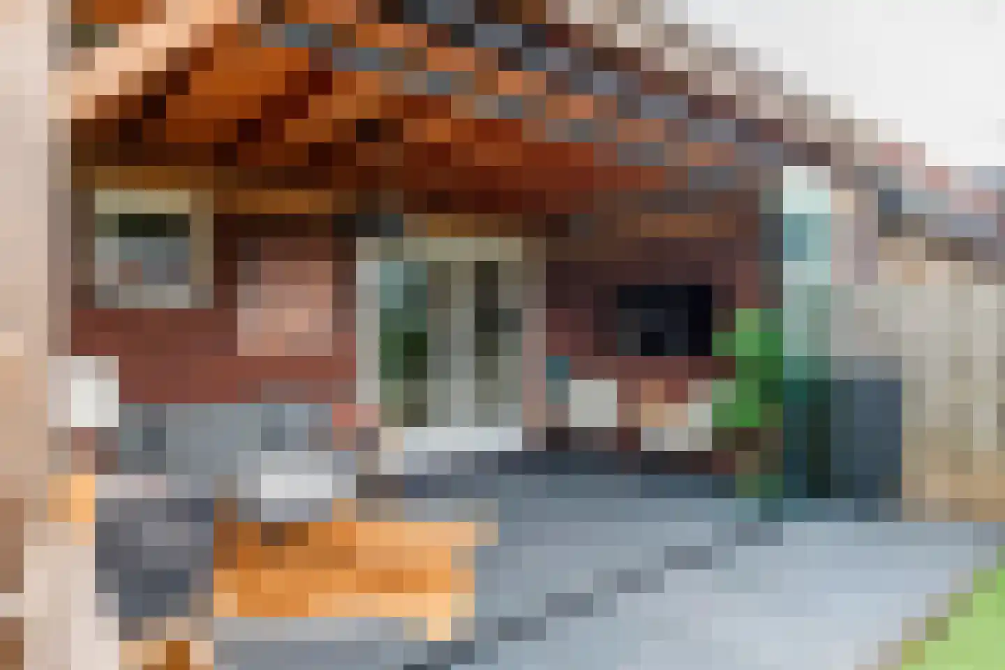 Swartjeshof 3 Meteren thumbnail 9