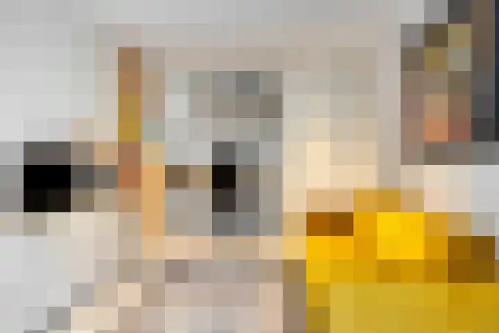 Sweder van Kervenheimlaan 2 Lochem thumbnail 14