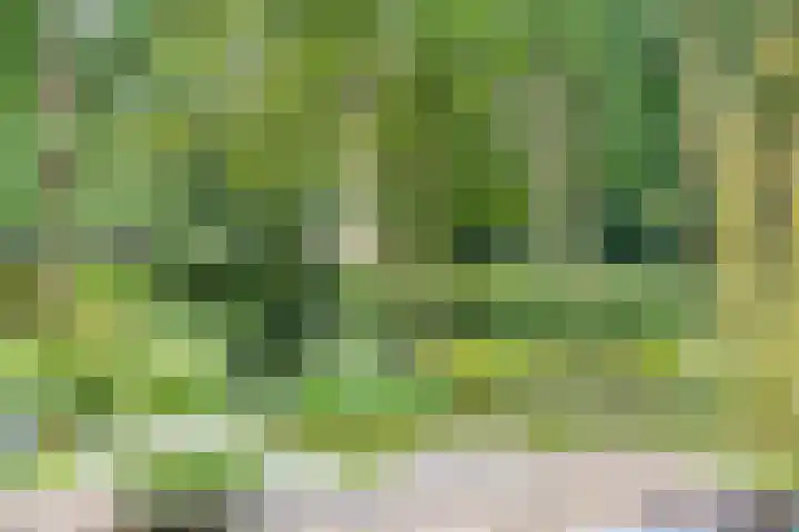 Sweder van Kervenheimlaan 2 Lochem thumbnail 35