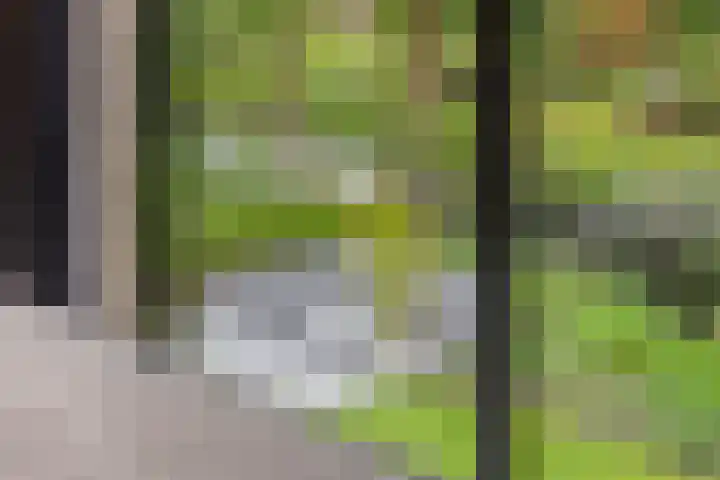 Sweder van Kervenheimlaan 2 Lochem thumbnail 45