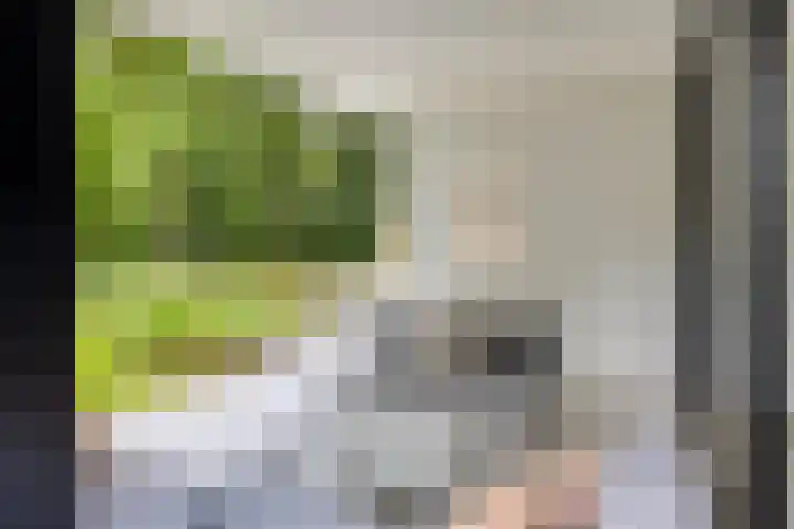 Sweder van Kervenheimlaan 2 Lochem thumbnail 61