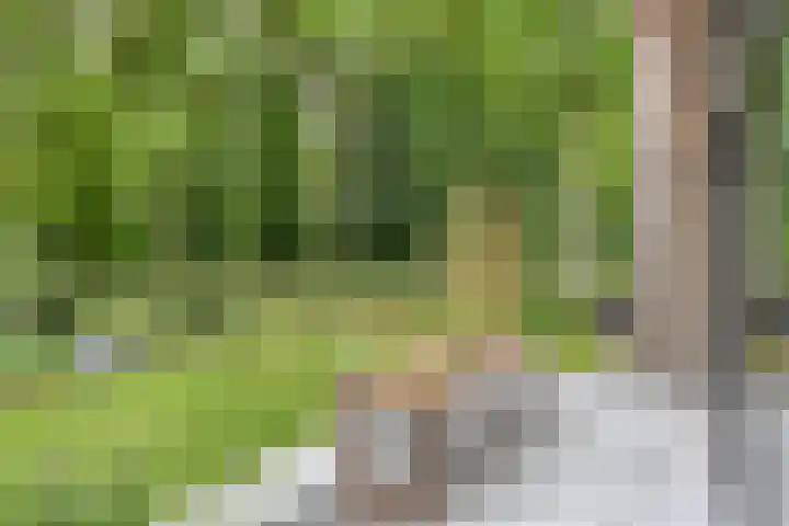 Sweder van Kervenheimlaan 2 Lochem thumbnail 64