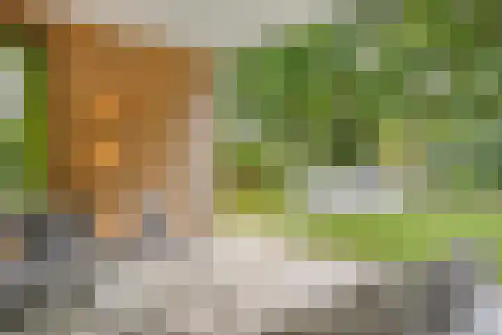 Sweder van Kervenheimlaan 2 Lochem thumbnail 66