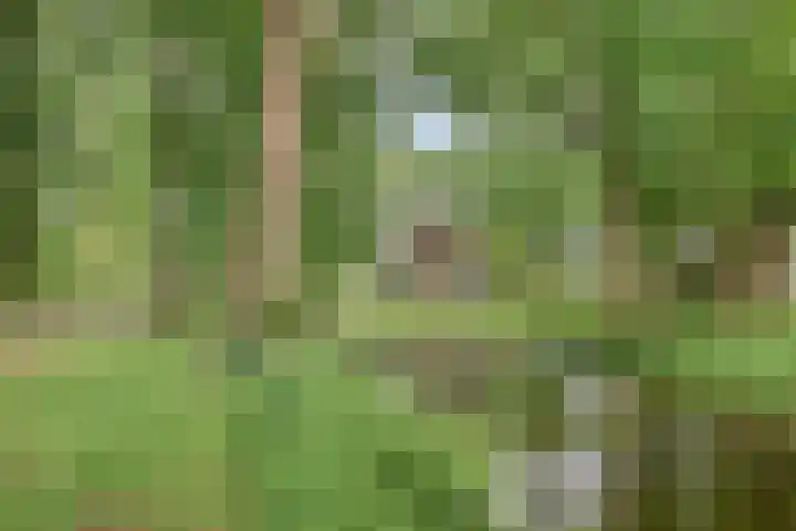 Sweder van Kervenheimlaan 2 Lochem thumbnail 67