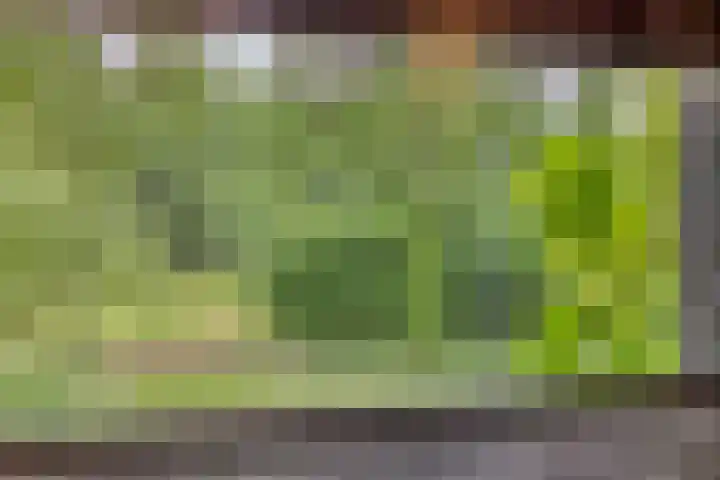 Sweder van Kervenheimlaan 2 Lochem thumbnail 68