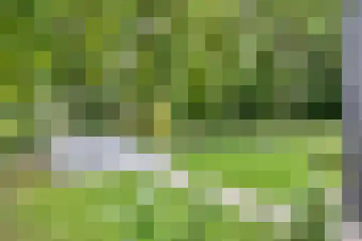 Sweder van Kervenheimlaan 2 Lochem thumbnail 69
